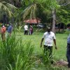 Tree Plantation at GA Bungalow